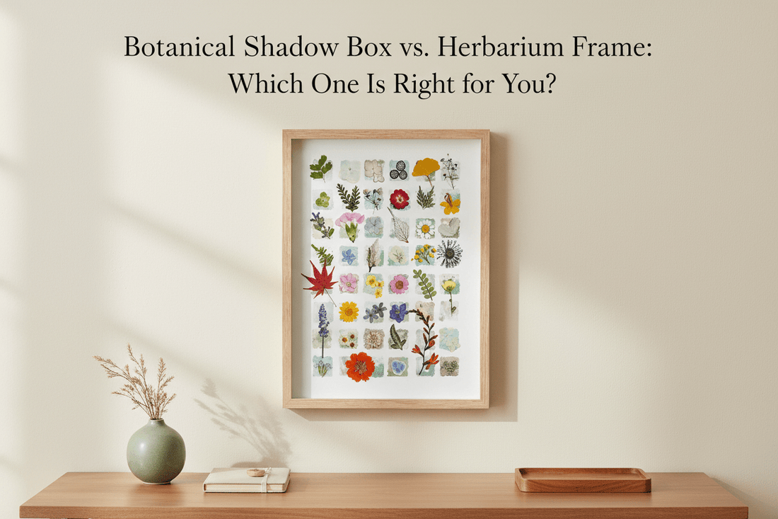 Botanical Shadow Box vs. Herbarium Frame: Which One Is Right for You? - Yunicrafts