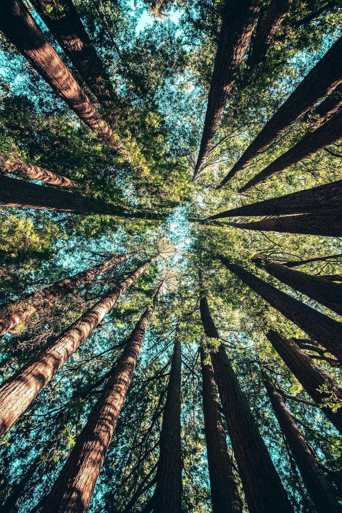 Creating Serenity: Nature Influences in DIY Craft Projects - Yunicrafts