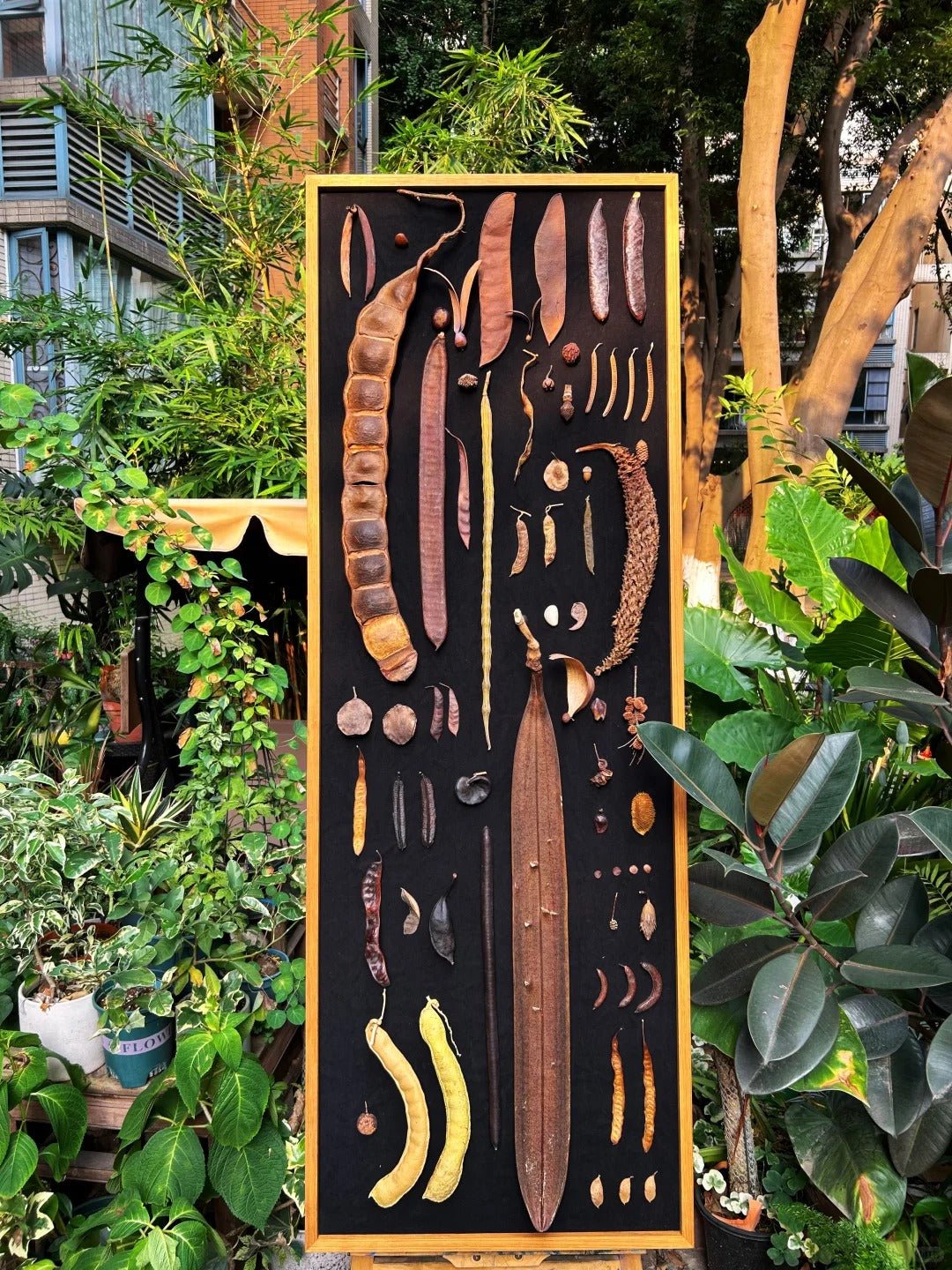 Discover the Wonders of Tropical Rainforest Seeds - Yunicrafts
