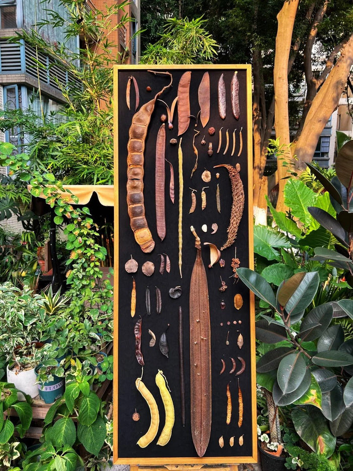 Discover the Wonders of Tropical Rainforest Seeds - Yunicrafts