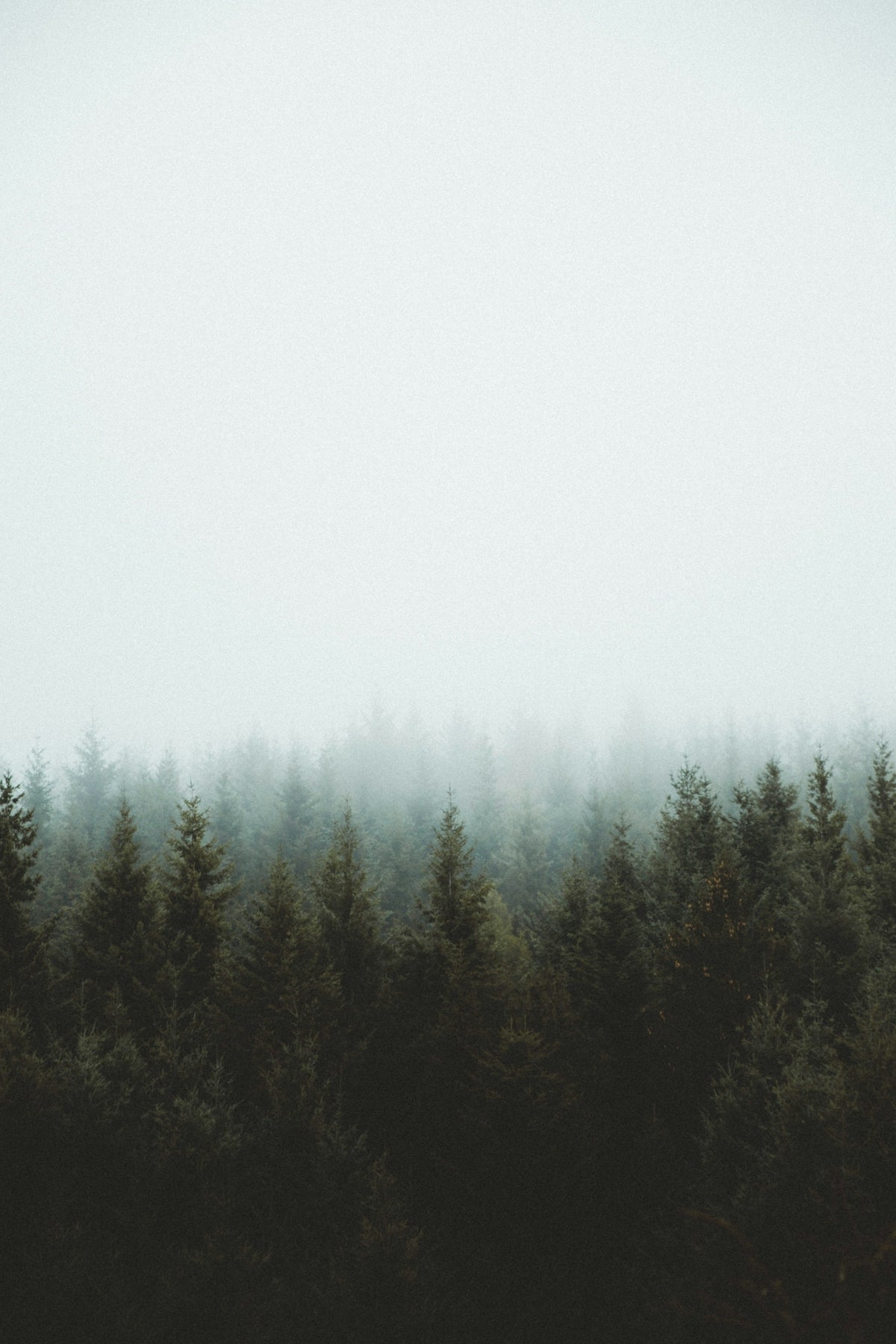 FAQs on Nature-Themed DIY Projects: Your Craft Questions Answered - Yunicrafts