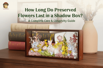 How Long Do Preserved Flowers Last in a Shadow Box? – Yunicrafts