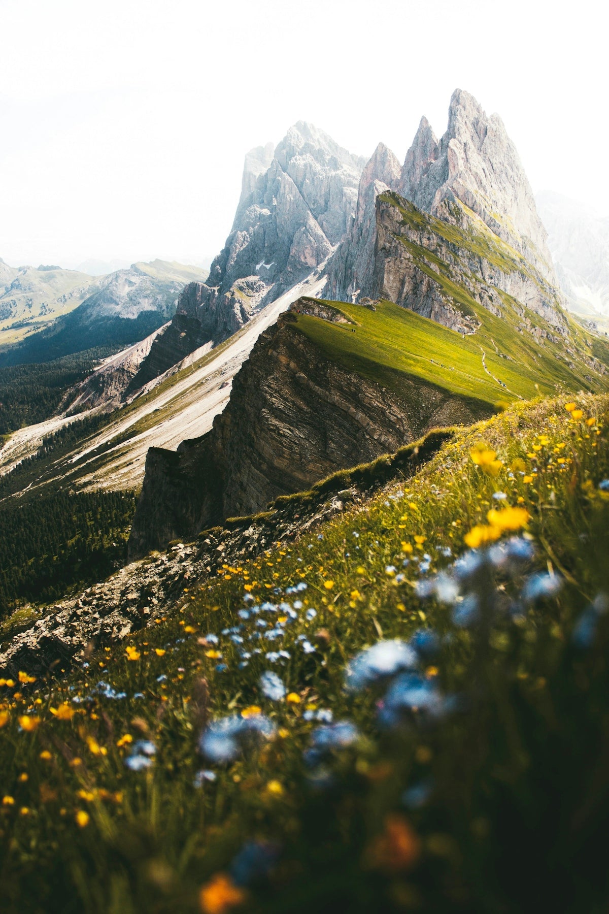 How Nature Can Transform Your DIY Craft Ideas into Reality - Yunicrafts