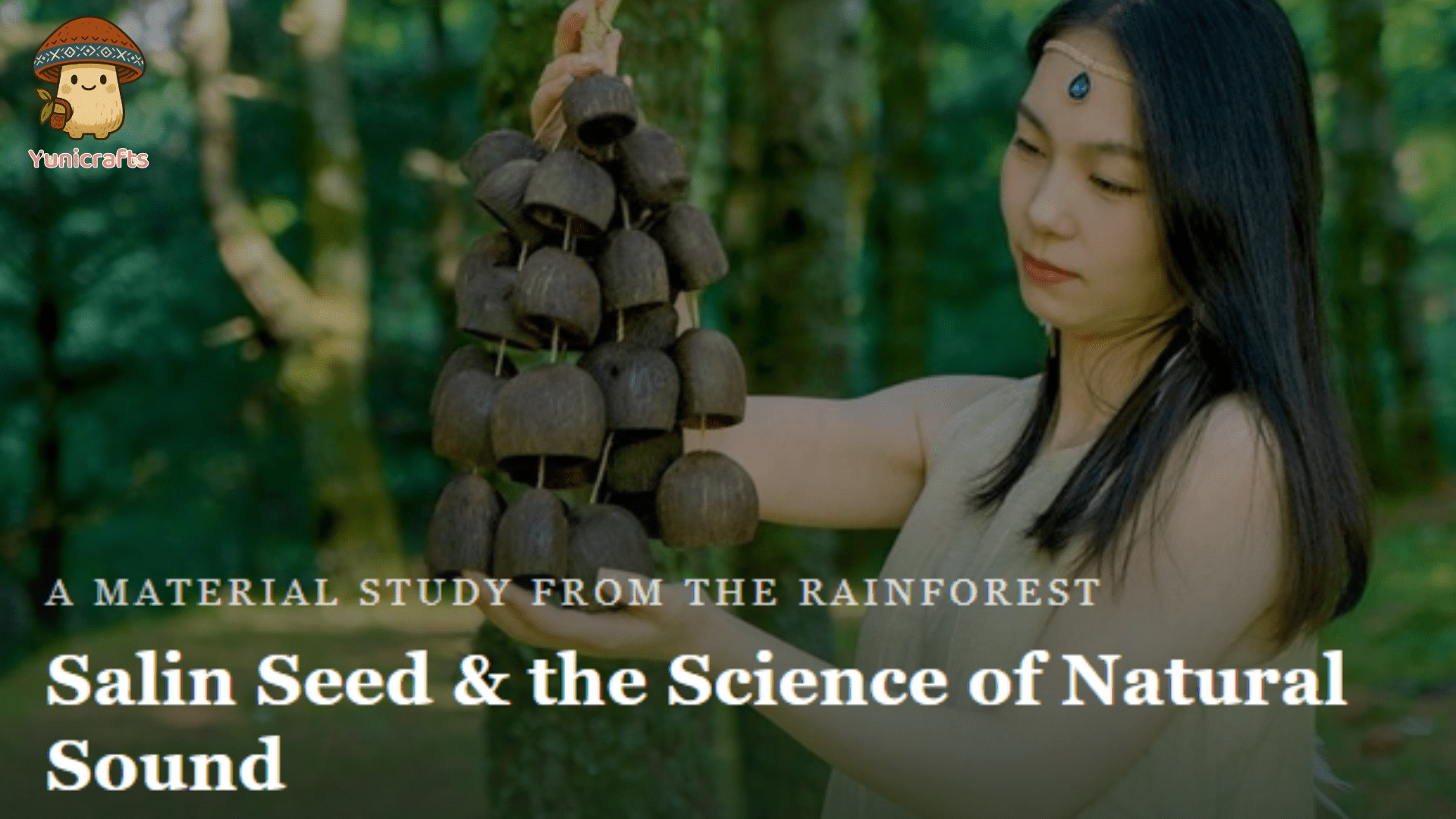 Salin Seed: A Natural ASMR & Sound Healing Material from the Tropical Rainforest - Yunicrafts