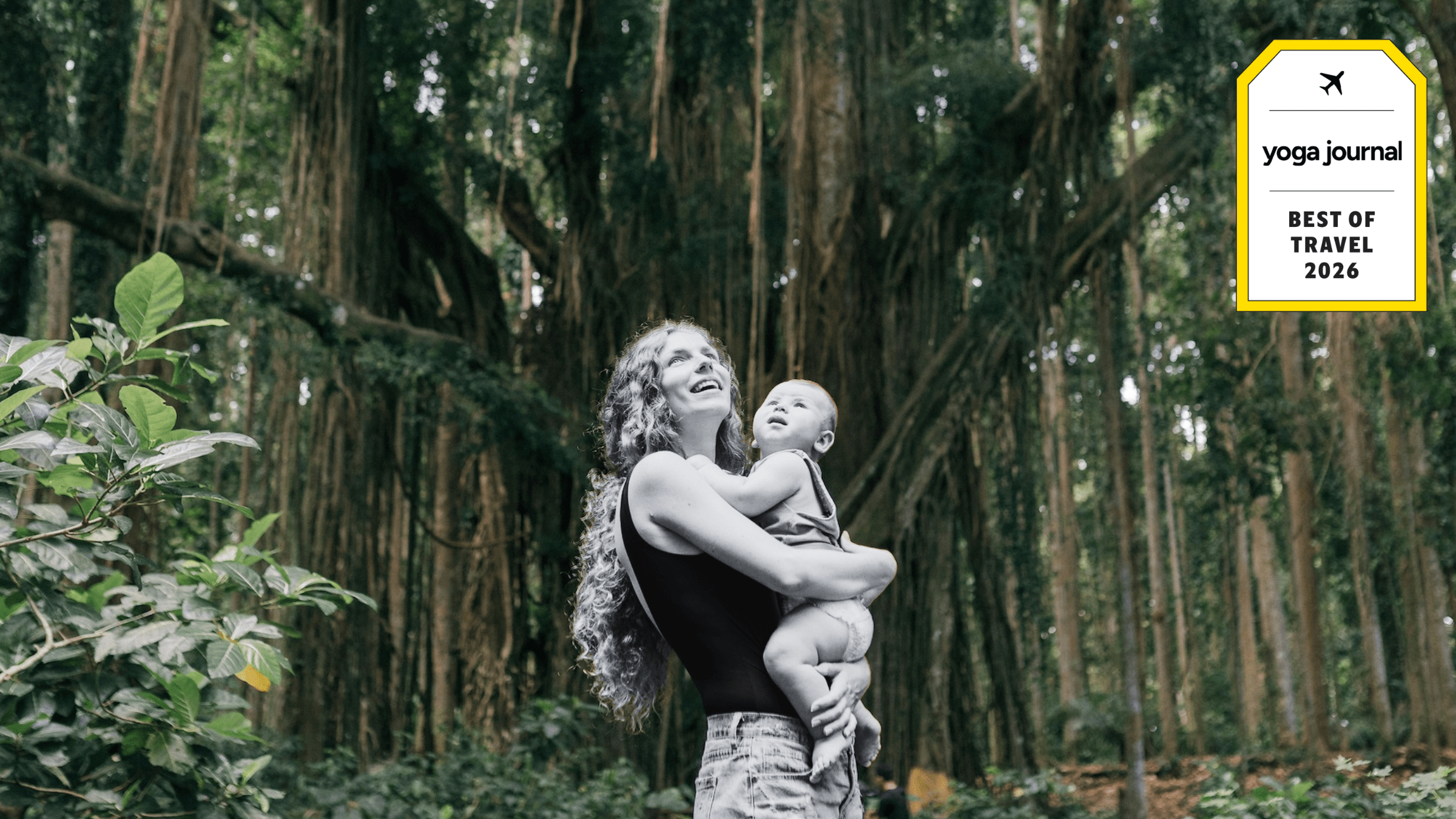 Sound Healing & Meditation News (March 2026) | Yunicrafts - Yunicrafts