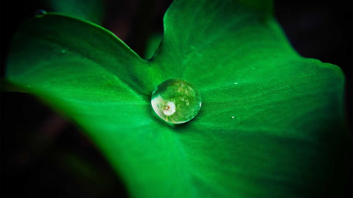 Sound Healing & Meditation News (May 11, 2026) | Yunicrafts - Yunicrafts