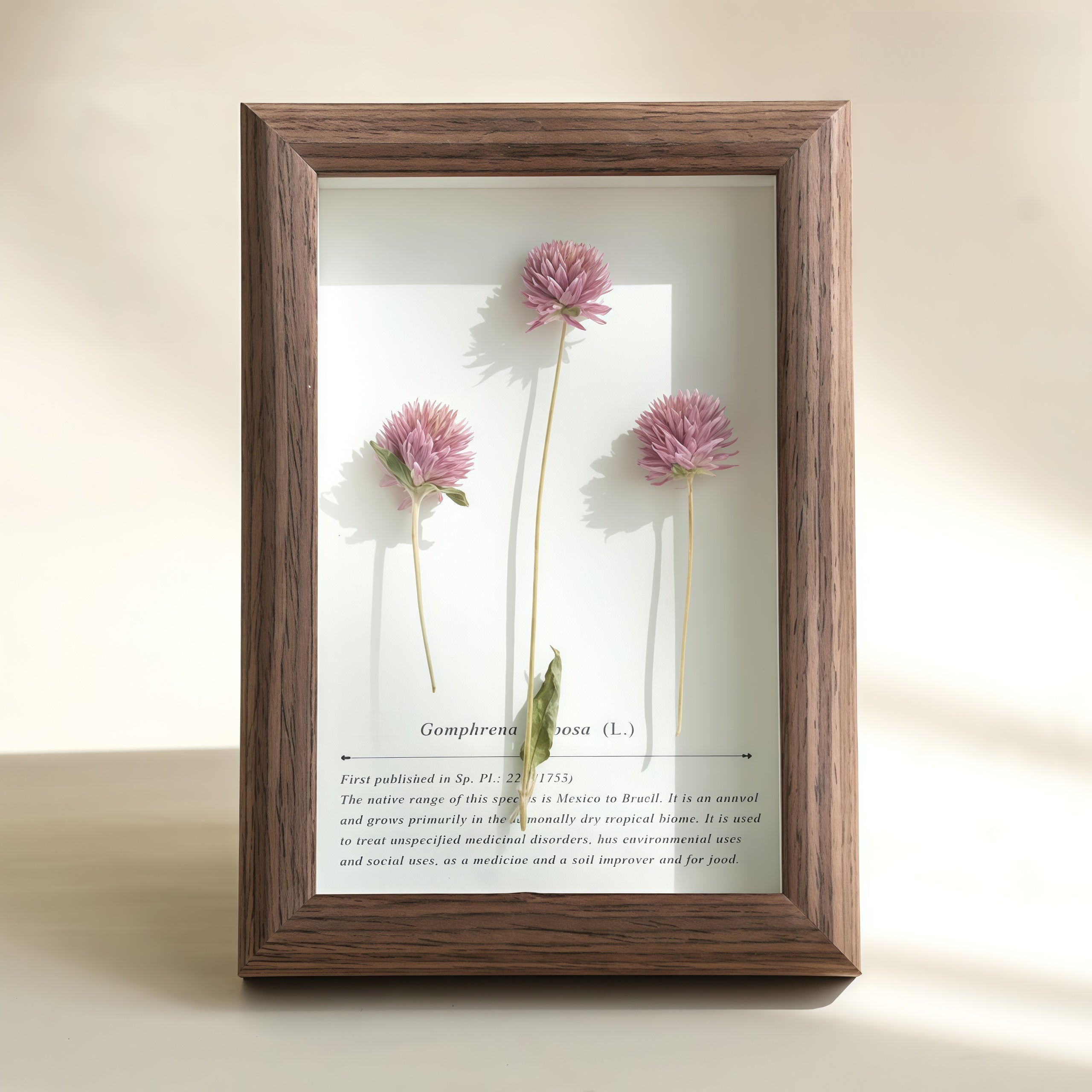 The Art of Botanical Preservation: Creating Framed Pressed Flower Specimens - Yunicrafts
