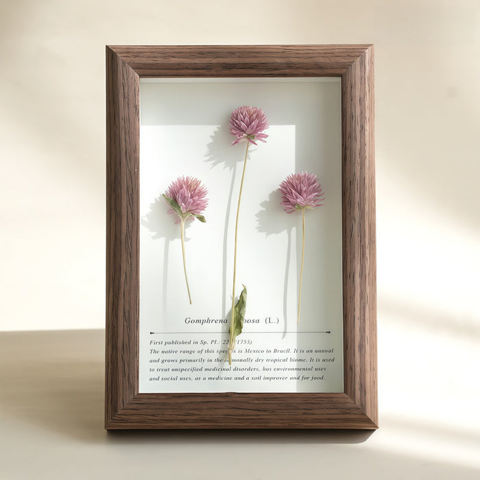 The Art of Botanical Preservation: Creating Framed Pressed Flower Specimens - Yunicrafts