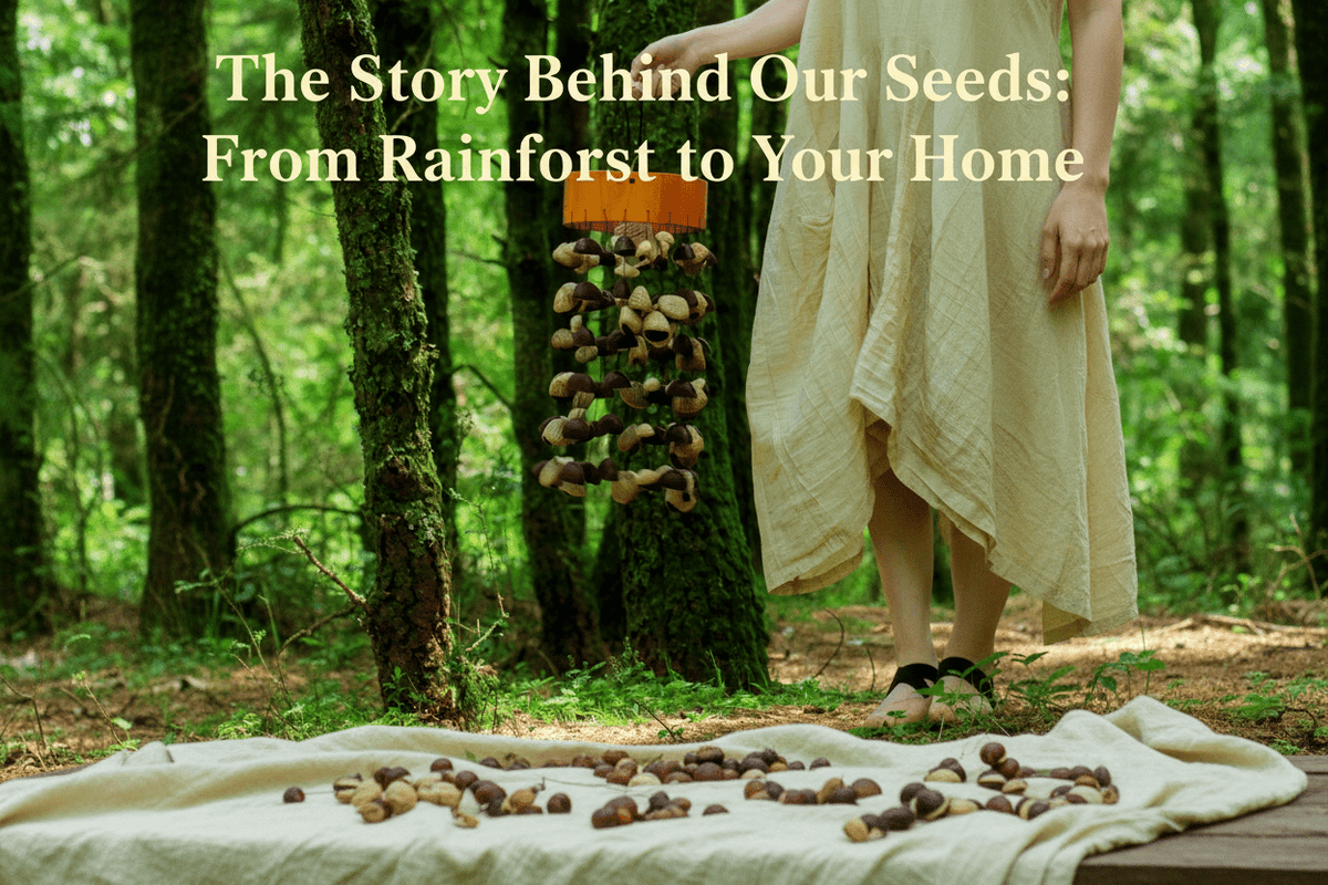 The Story Behind Our Seeds: From Rainforest to Your Home - Yunicrafts