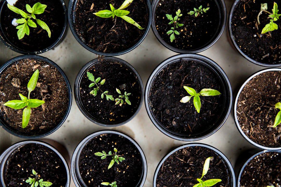 Transform Your Outdoors: Creative DIY Gardening Projects - Yunicrafts