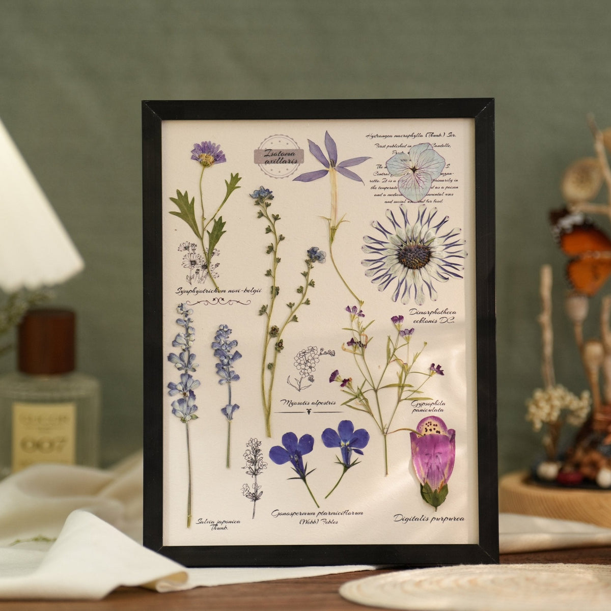 Why Some Dried Flowers Keep Their Color Longer - Yunicrafts