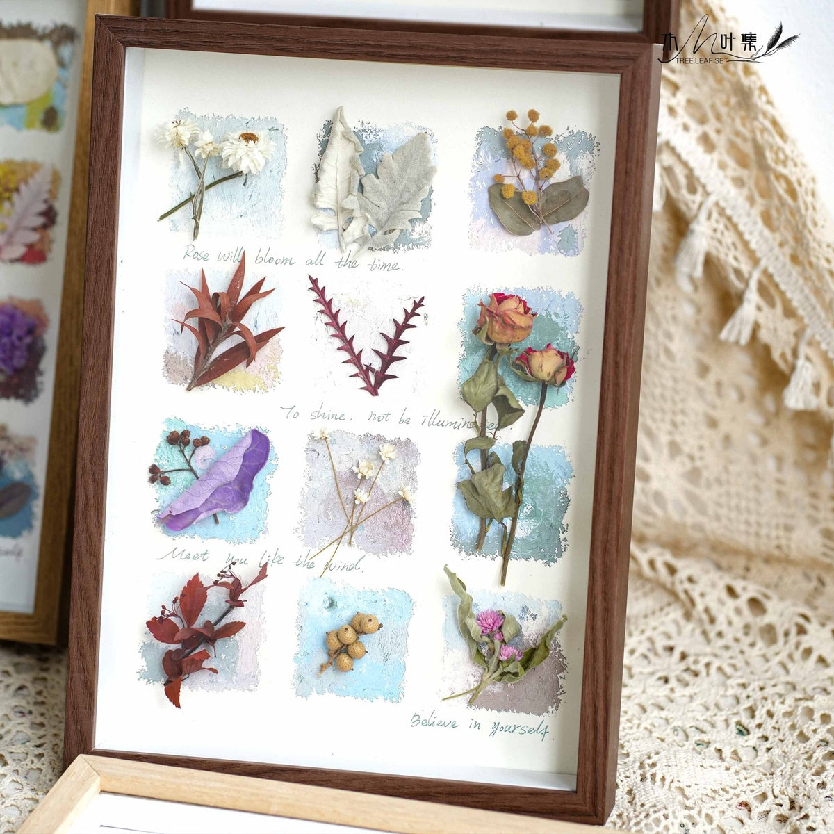 A botanical seed specimen shadow box displayed as a nature-inspired gift for a grandparent