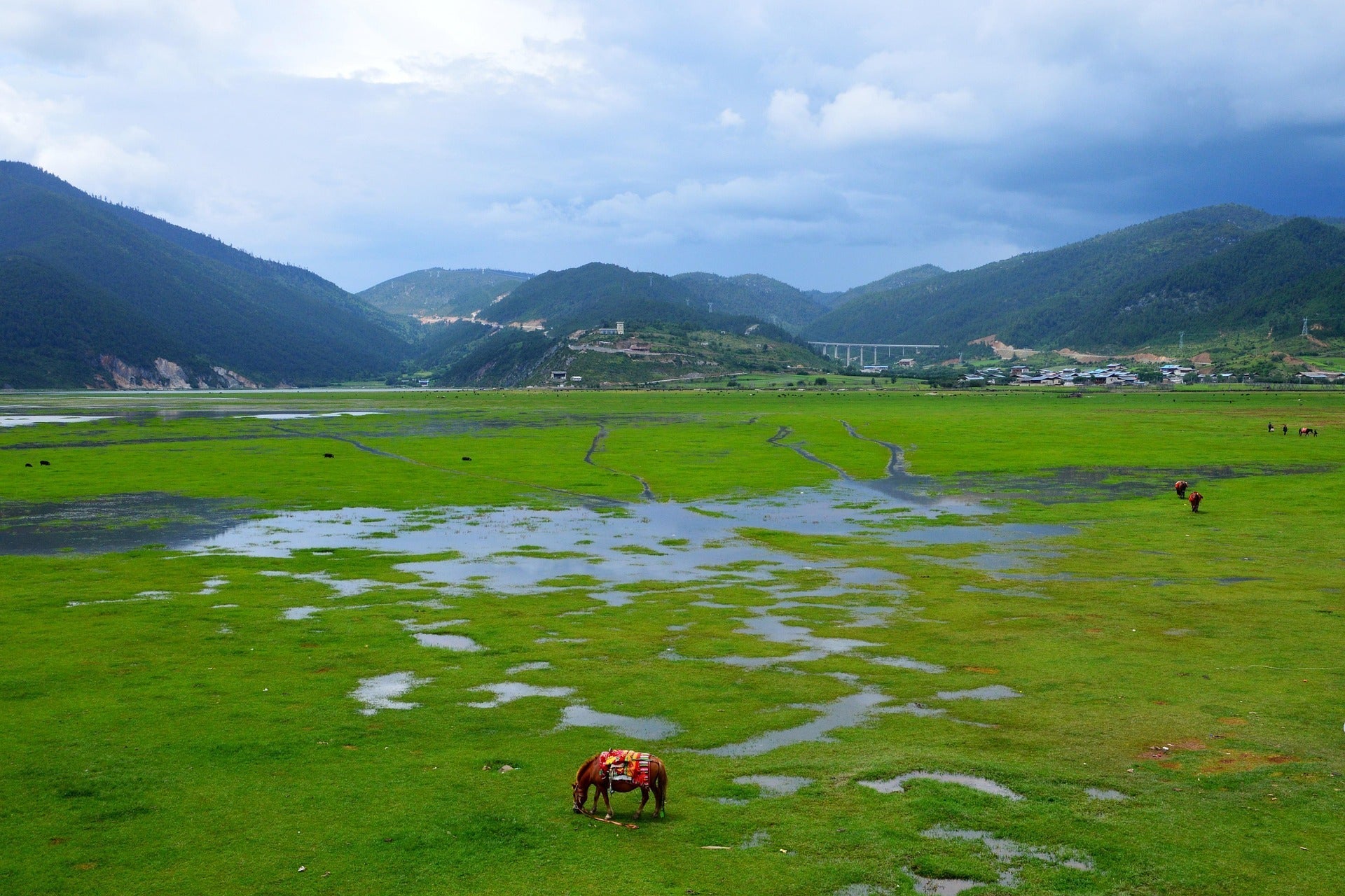 Yunnan: China’s Hidden Gem of History, Culture, and Nature
