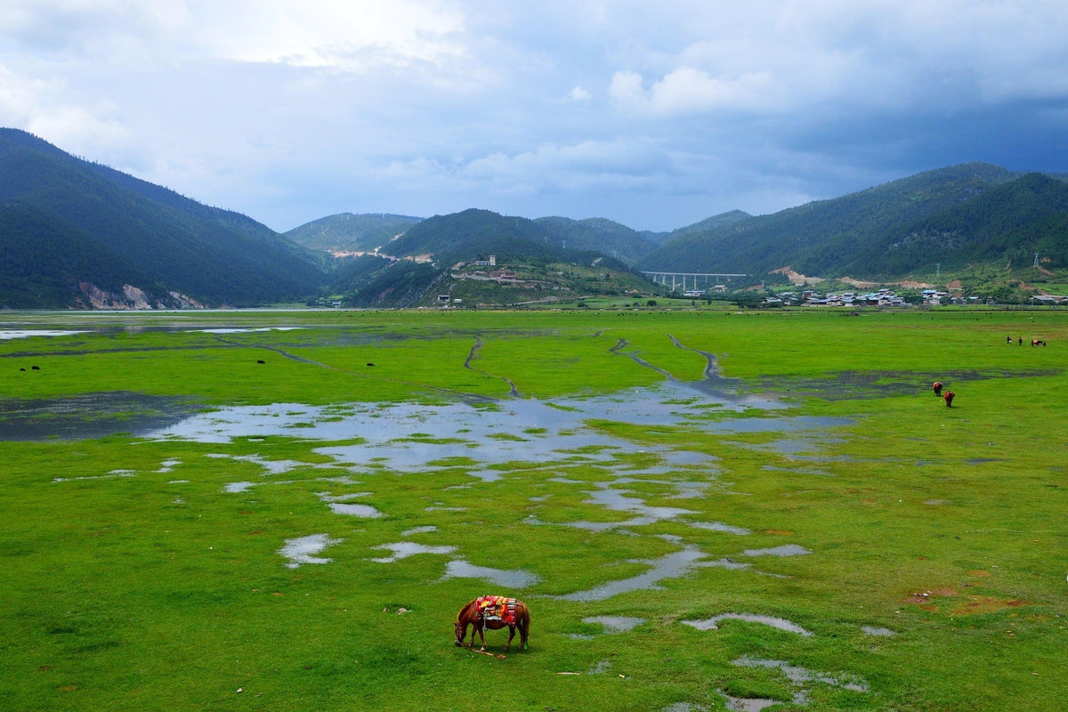 Yunnan: China’s Hidden Gem of History, Culture, and Nature - Yunicrafts