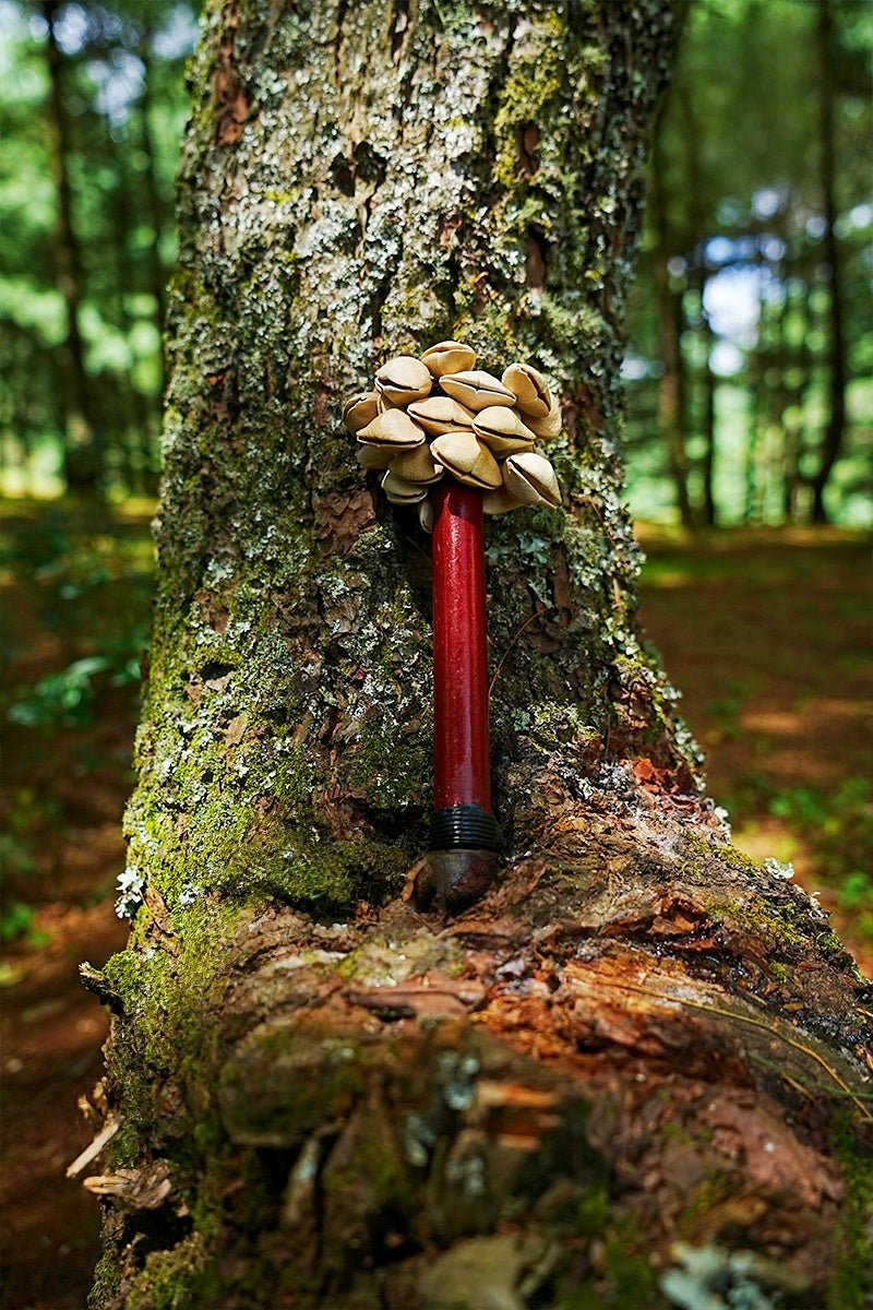 Wooden Handle Shaker