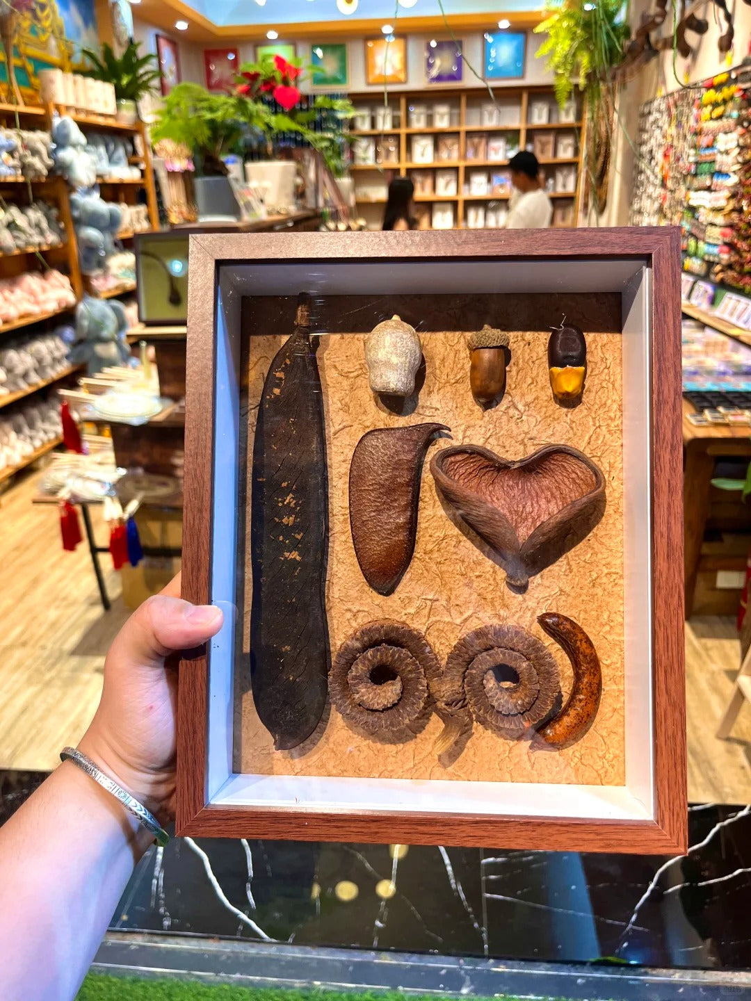 Real botanical specimens collection - pressed flowers, vine slices and berries preserved in resin for jewelry and home decor