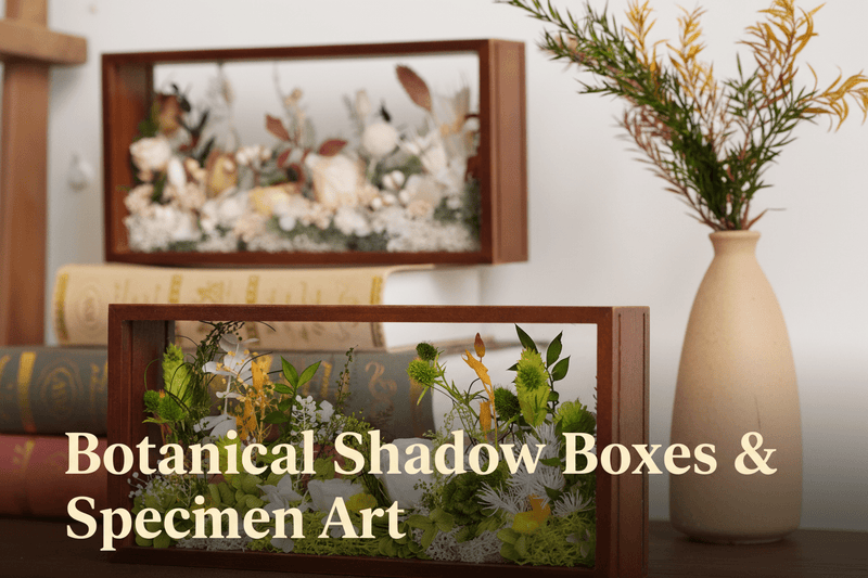 Cajas de sombras botánicas y arte de muestras - Yunicrafts