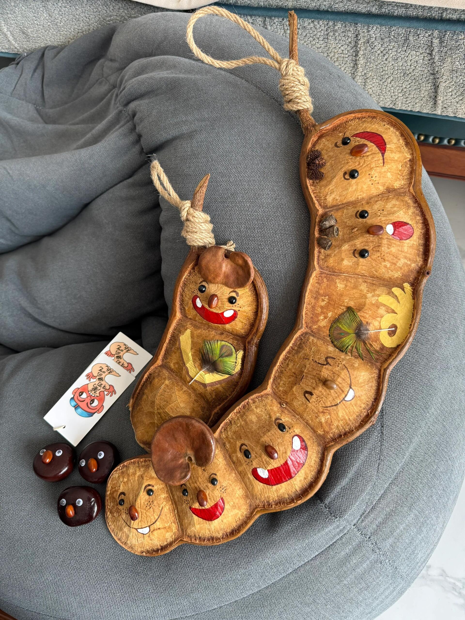 Hand-Painted Giant Entada Pod Ornament – World’s Largest Bean Wall Decor