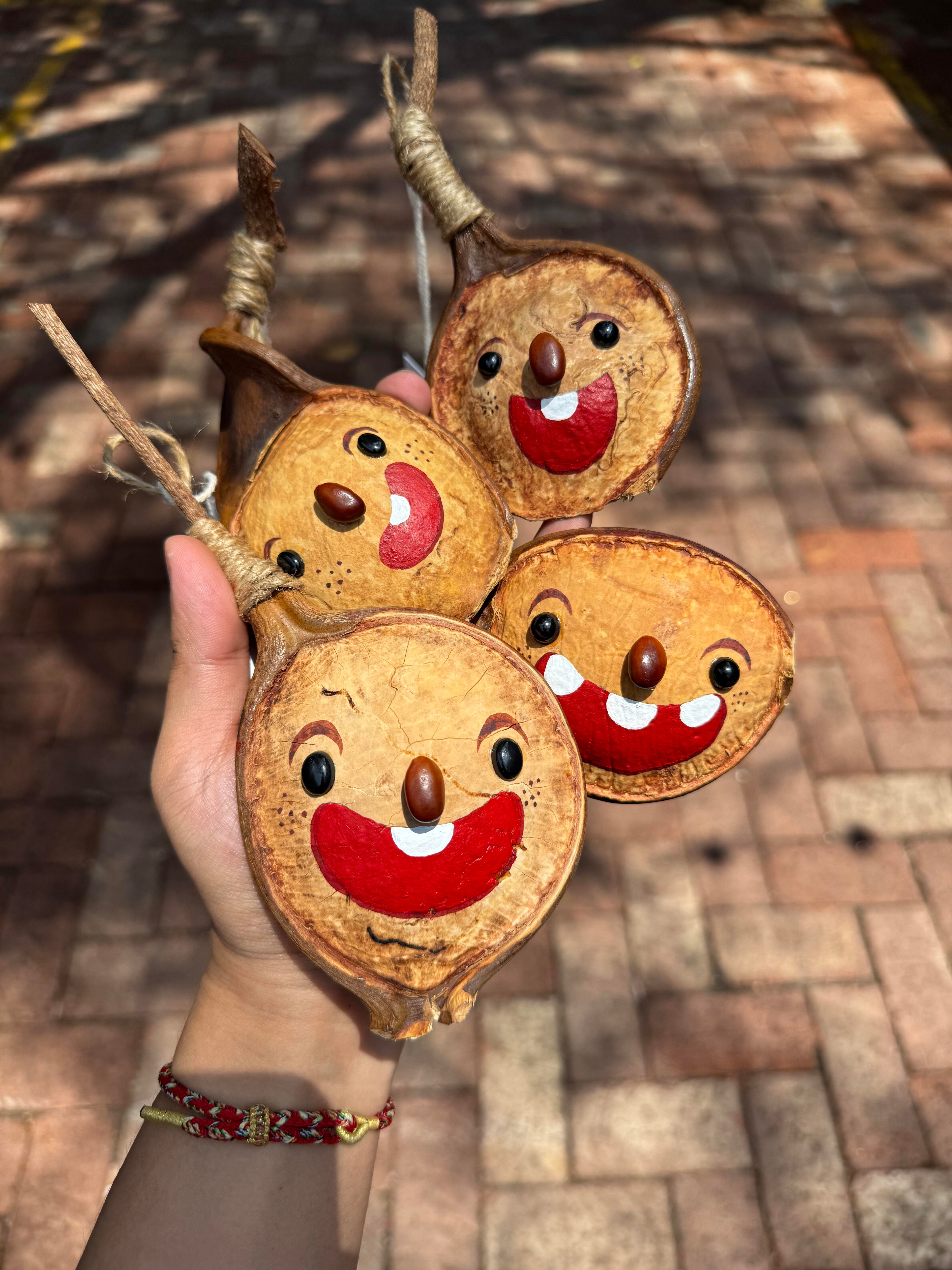 Hand-Painted Giant Entada Pod Ornament – World’s Largest Bean Wall Decor