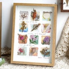 "Naturkabinett" - Schattenbox-Kunst mit echten botanischen Präparaten und Samen (A4-Format)