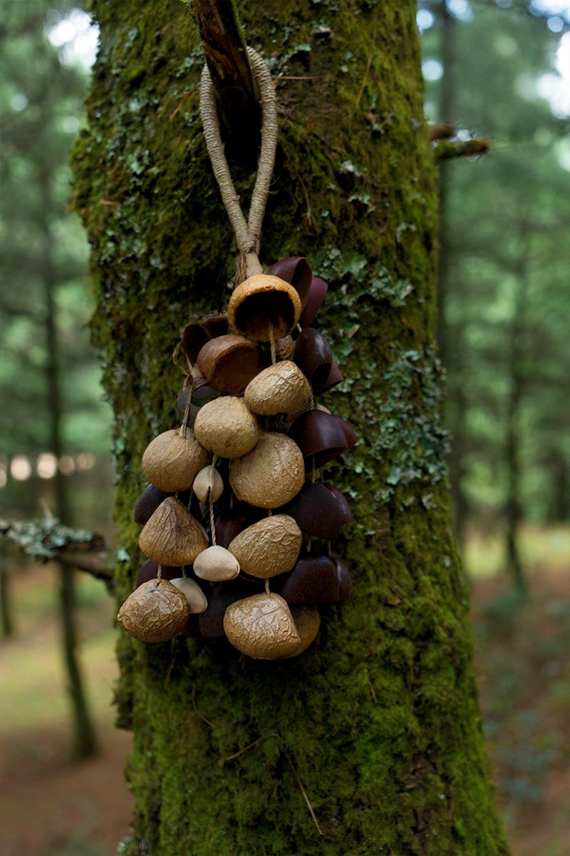 Handmade Entada, Pala Cardamom & Chacha Oleander Seed Shell Hand Bell– Natural Rainforest Sound