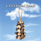 Seed Shaker | Handmade Entada, Pala Cardamom & Chacha Oleander Seed Shell Hand Bell– Natural Rainforest Sound