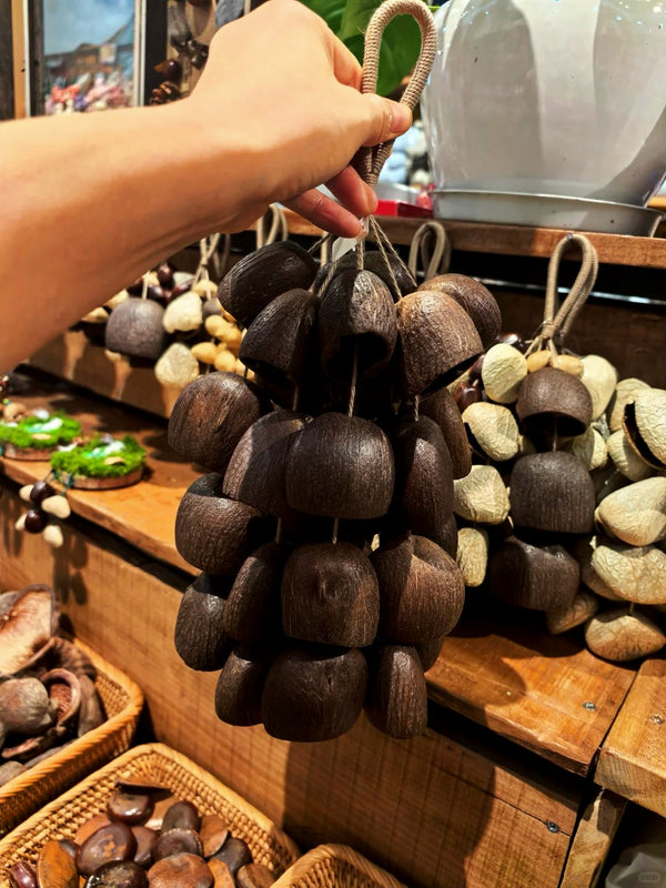 Handmade Salin Water Bellwood Shell Shaker with Rope Handle– Pure or Mixed