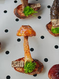 Handcrafted Real-Mushroom Fridge Magnets – Nature Preserved in Art Gift Idea