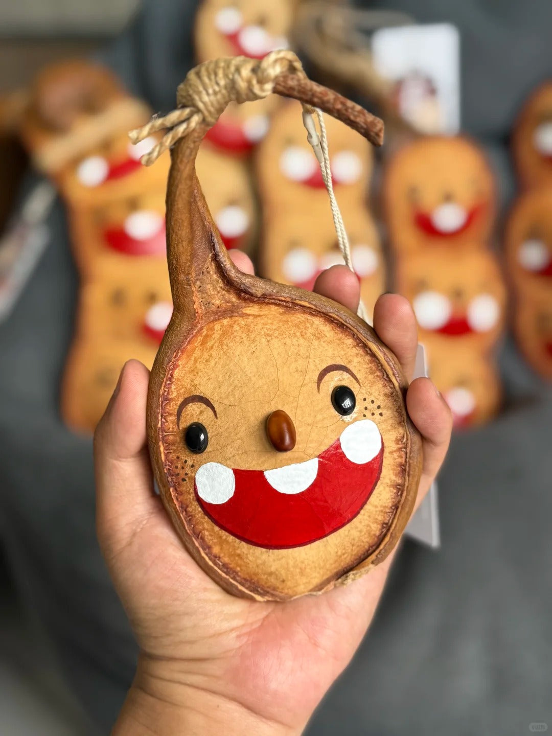 Hand-Painted Giant Entada Pod Ornament – World’s Largest Bean Wall Decor