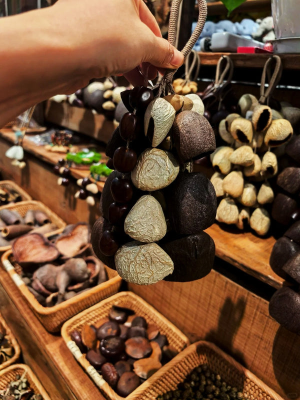 Handmade Salin Water Bellwood Shell Shaker with Rope Handle– Pure or Mixed