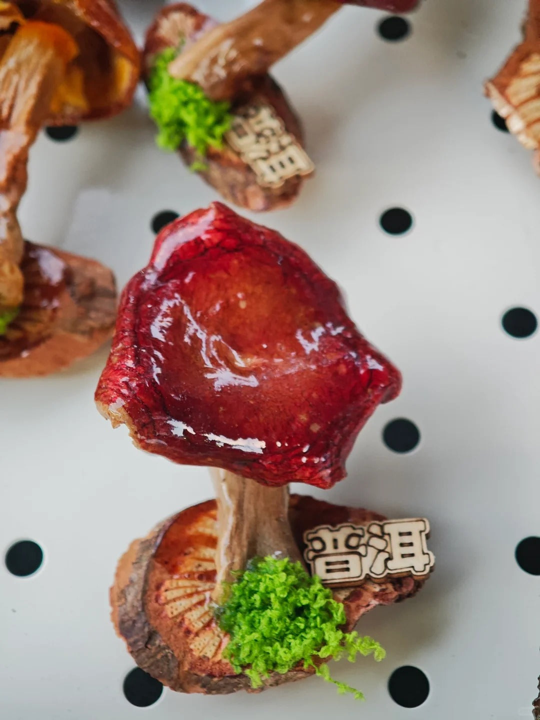 Handcrafted Real-Mushroom Fridge Magnets – Nature Preserved in Art Gift Idea