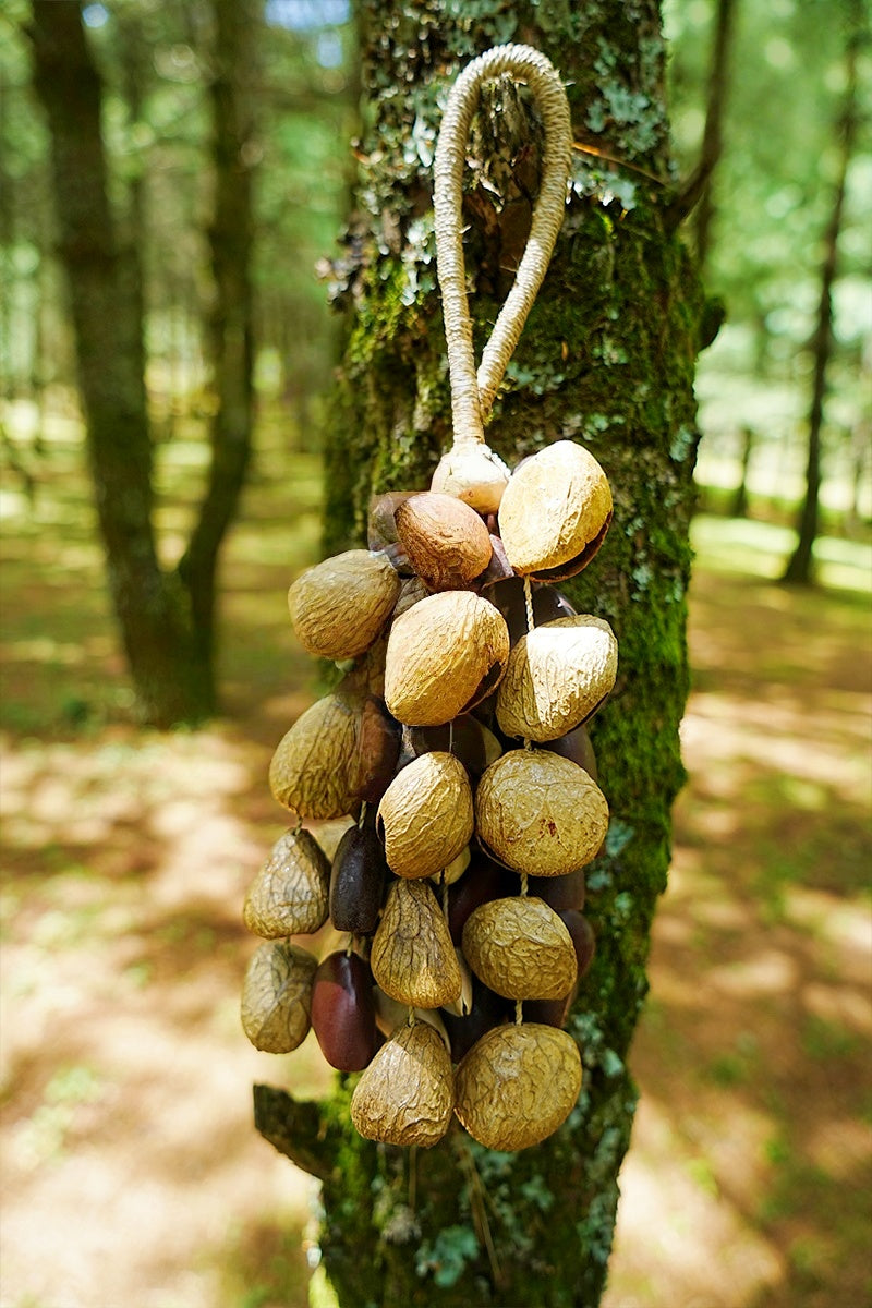 Handmade Entada, Pala Cardamom & Chacha Oleander Seed Shell Hand Bell– Natural Rainforest Sound