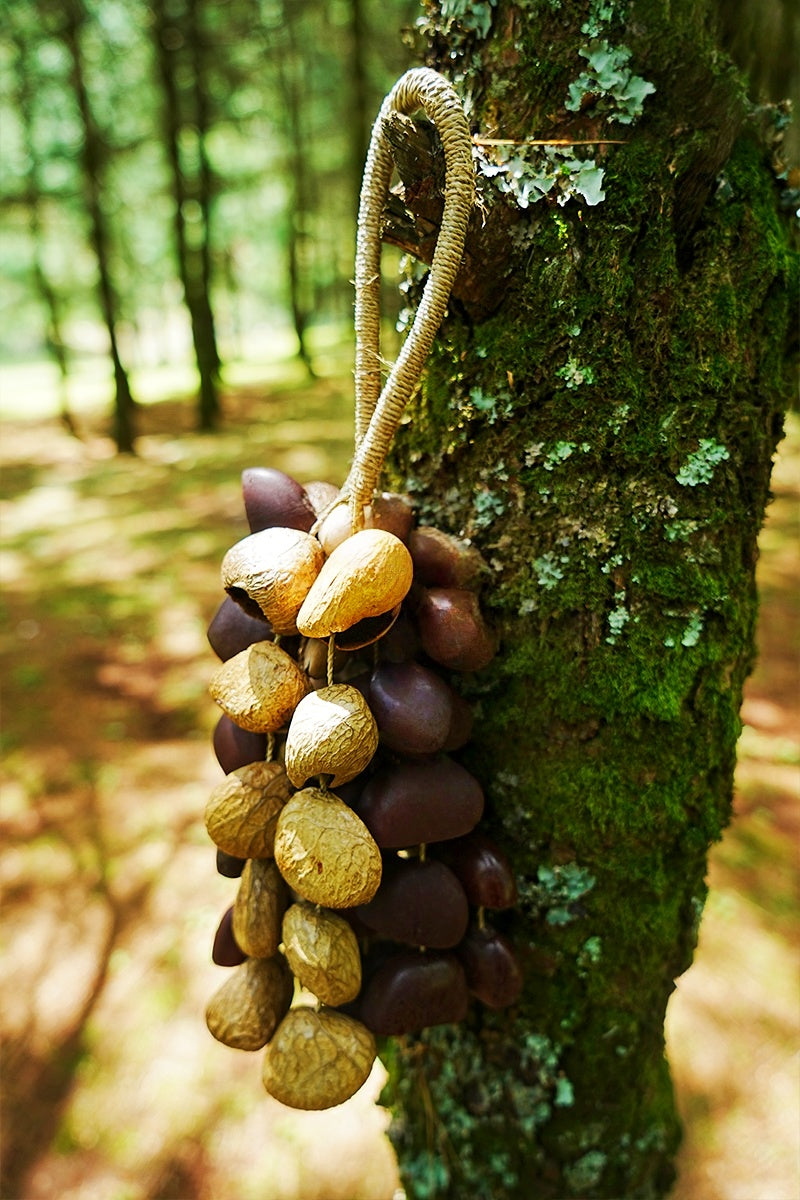 Handmade Entada, Pala Cardamom & Chacha Oleander Seed Shell Hand Bell– Natural Rainforest Sound