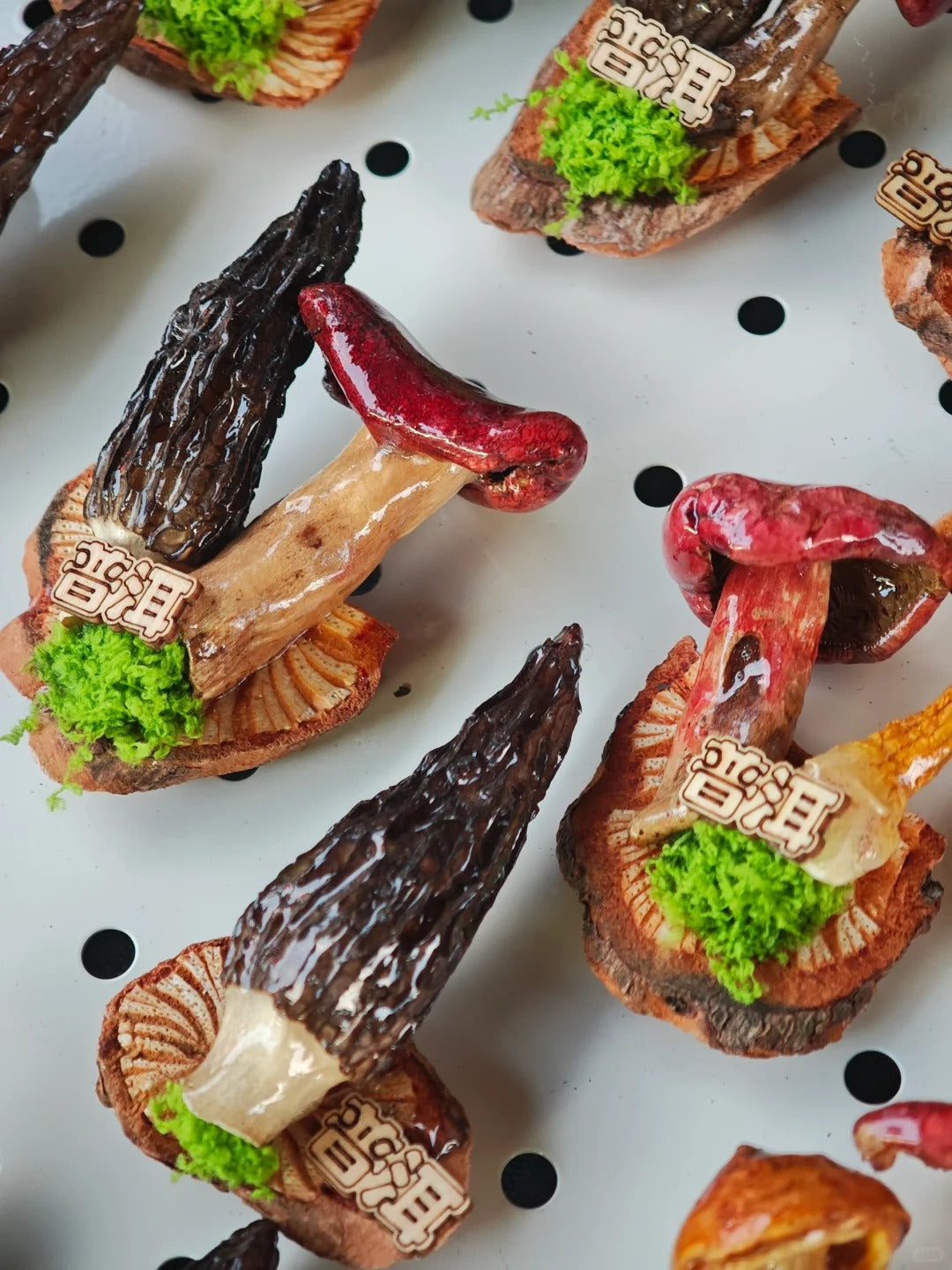 Handcrafted Real-Mushroom Fridge Magnets – Nature Preserved in Art Gift Idea