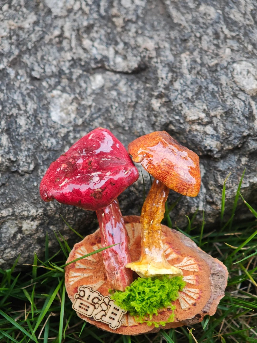 Handcrafted Real-Mushroom Fridge Magnets – Nature Preserved in Art Gift Idea