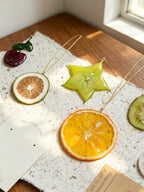 Pendant Necklace | Fruit Slice Botanical Resin Jewelry