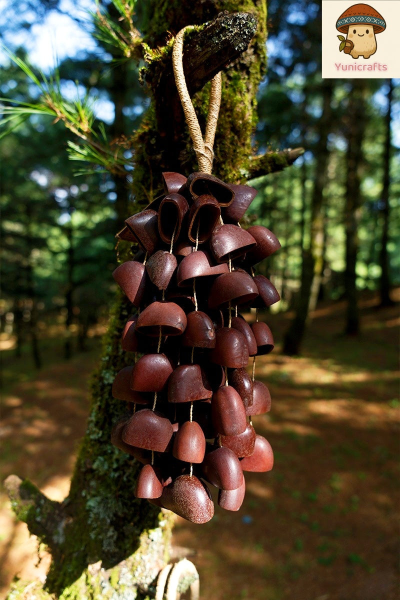 Handmade Juju Duckfoot Vine Seed Shell Hand Bell – Natural Rainforest Sound Decor