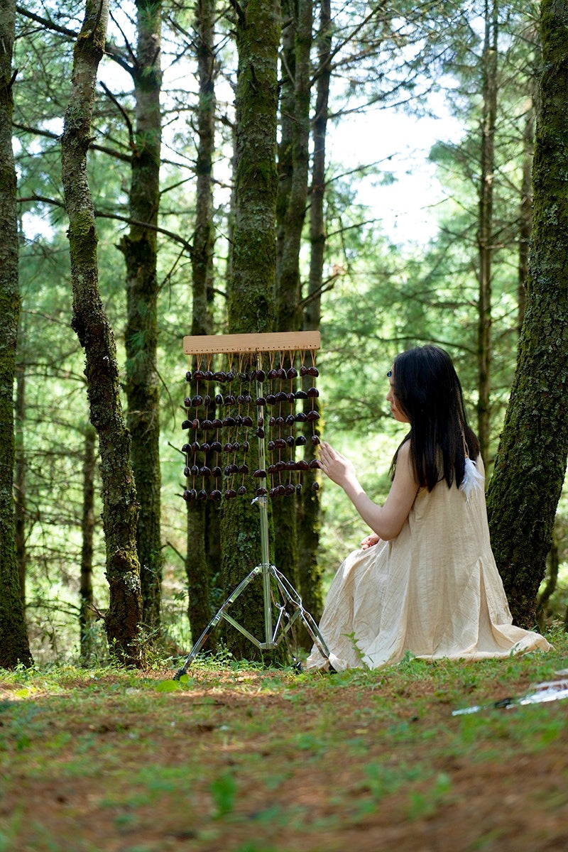 Handmade Juju Duckvine Seed Shell Bar Wind Chime – Natural Rainforest Sound
