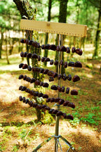 Handmade Juju Duckvine Seed Shell Bar Wind Chime – Natural Rainforest Sound