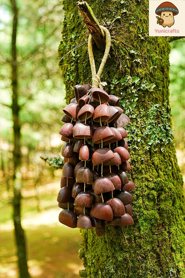 Handmade Juju Duckfoot Vine Seed Shell Hand Bell – Natural Rainforest Sound Decor