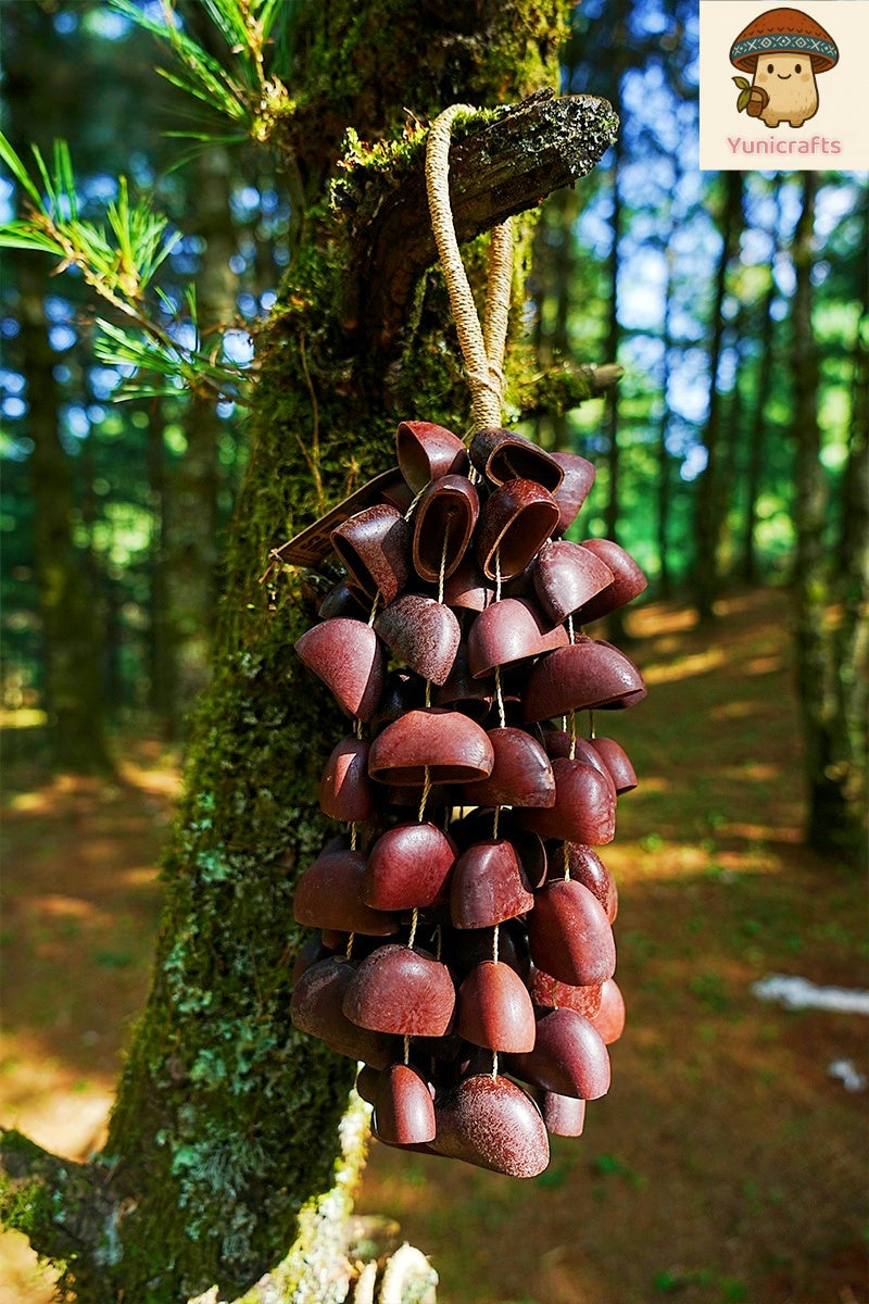 Handmade Juju Duckfoot Vine Seed Shell Hand Bell – Natural Rainforest Sound Decor