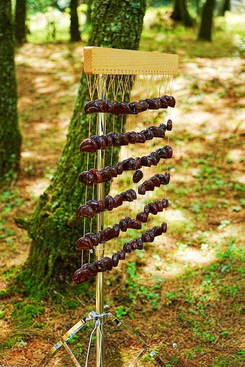 Handmade Juju Duckvine Seed Shell Bar Wind Chime – Natural Rainforest Sound