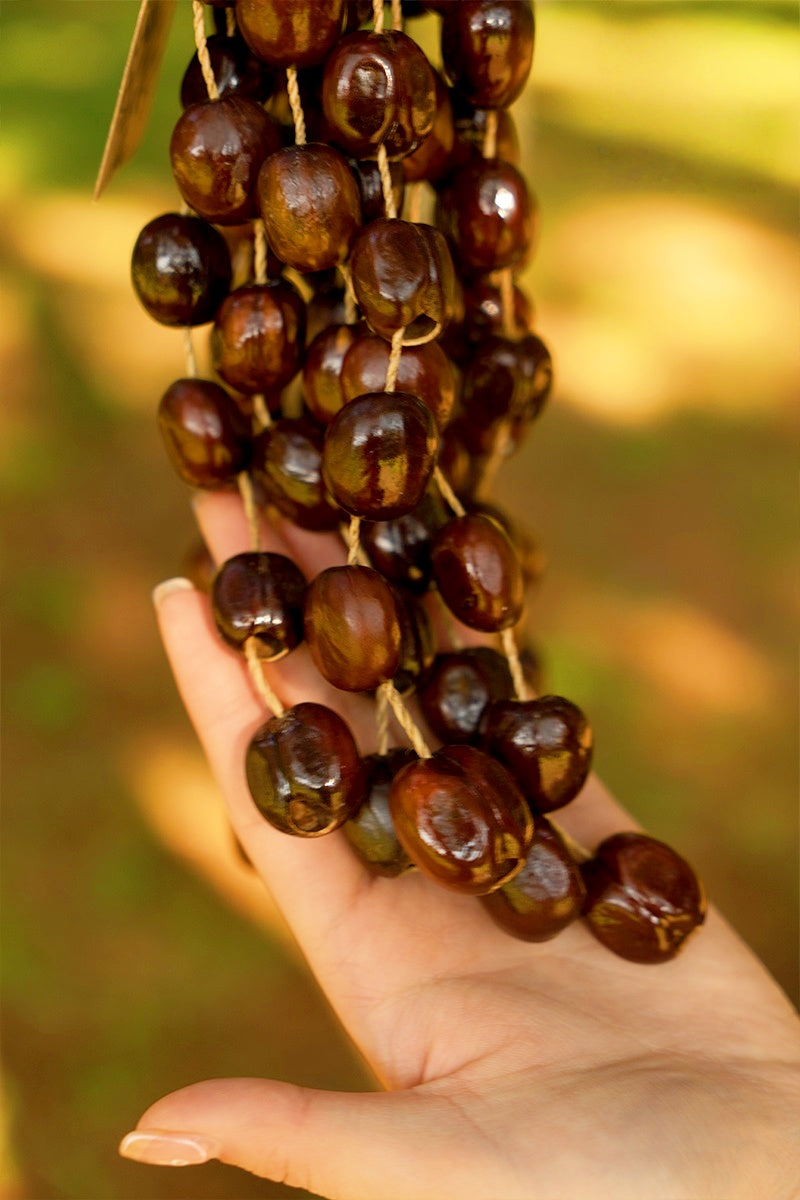 Handmade Pala Cardamom Seed Shell Hand Bell – Natural Rainforest Sound Decor