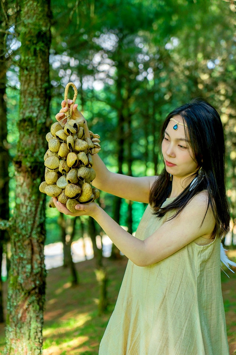 Handmade Panji White Fruit Seed Shell Hand Bell – Natural Rainforest Sound Decor