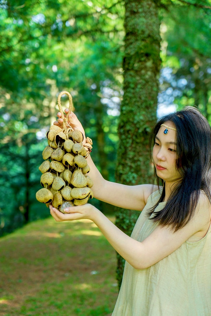 Handmade Panji White Fruit Seed Shell Hand Bell – Natural Rainforest Sound Decor