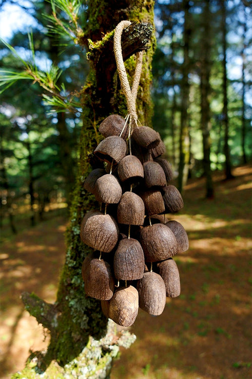 Handmade Salin Water Bellwood Seed Shell Hand Bell – Natural Rainforest Decor