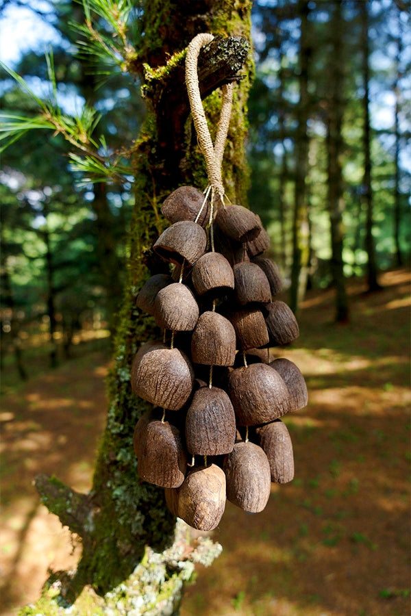 Handmade Salin Water Bellwood Seed Shell Hand Bell – Natural Rainforest Decor