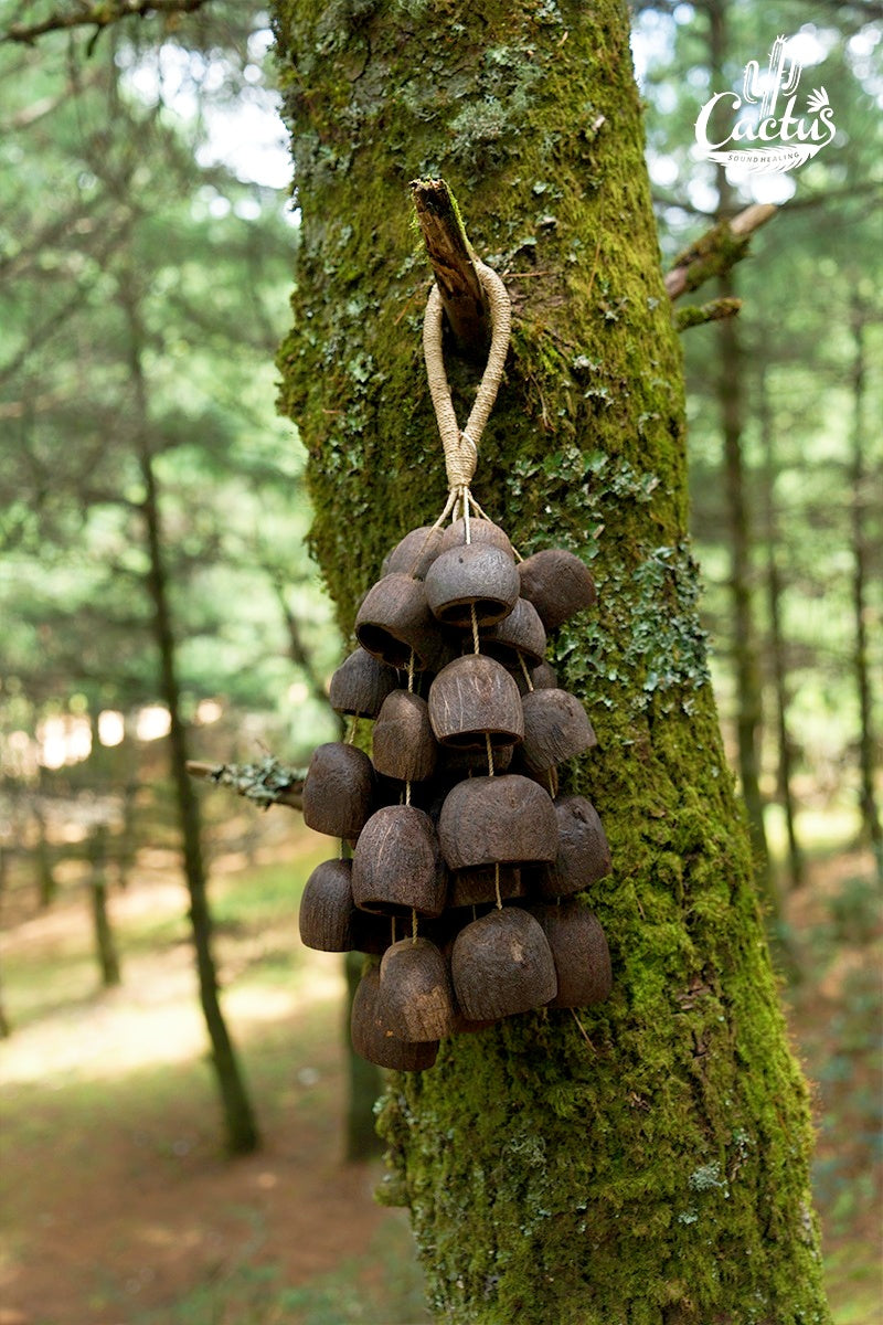 Handmade Salin Water Bellwood Seed Shell Hand Bell – Natural Rainforest Decor