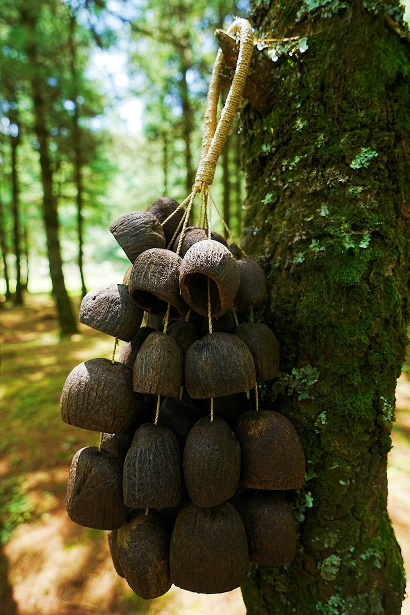 Handmade Salin Water Bellwood Seed Shell Hand Bell – Natural Rainforest Decor