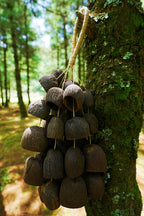 Handmade Salin Water Bellwood Seed Shell Hand Bell – Natural Rainforest Decor